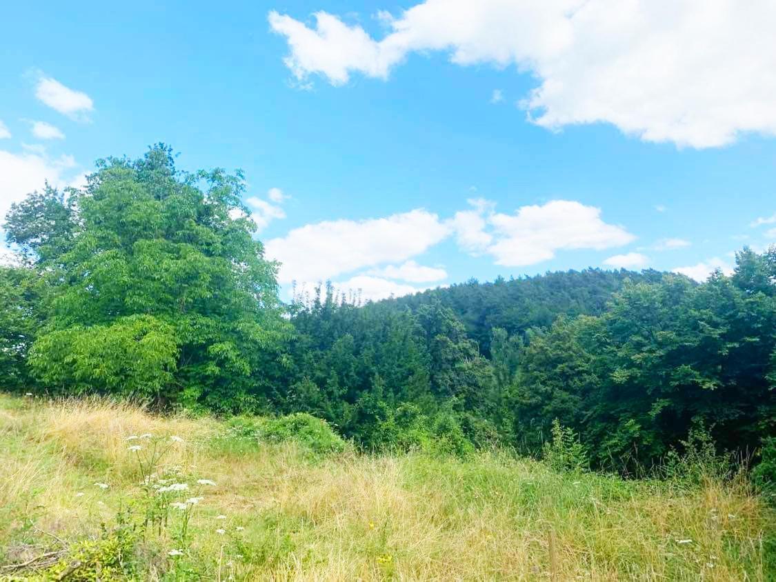 Gite Bella-K, Logement Privatif En Campagne A Gesves Exteriér fotografie